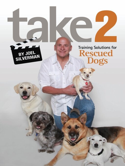 Title details for Take 2 by Joel Silverman - Available